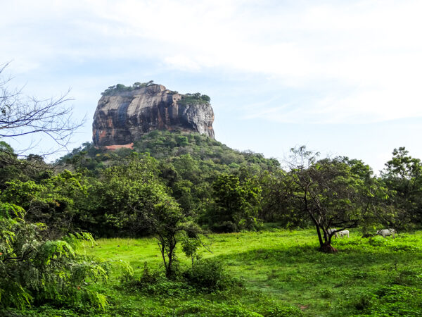 Sigiriya Rock