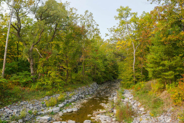 Creek at Robert Treman