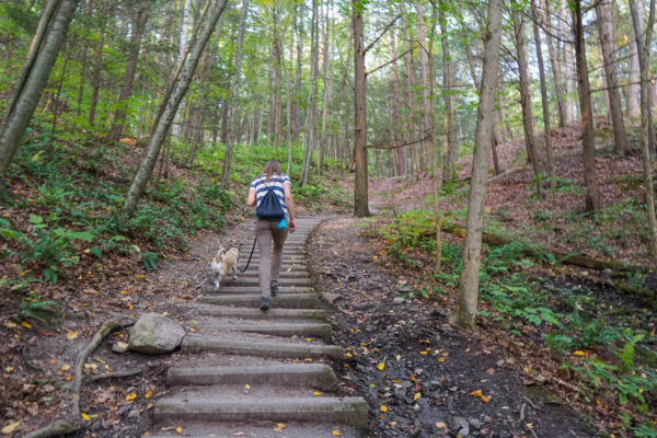 Hiking at Robert Treman State Park