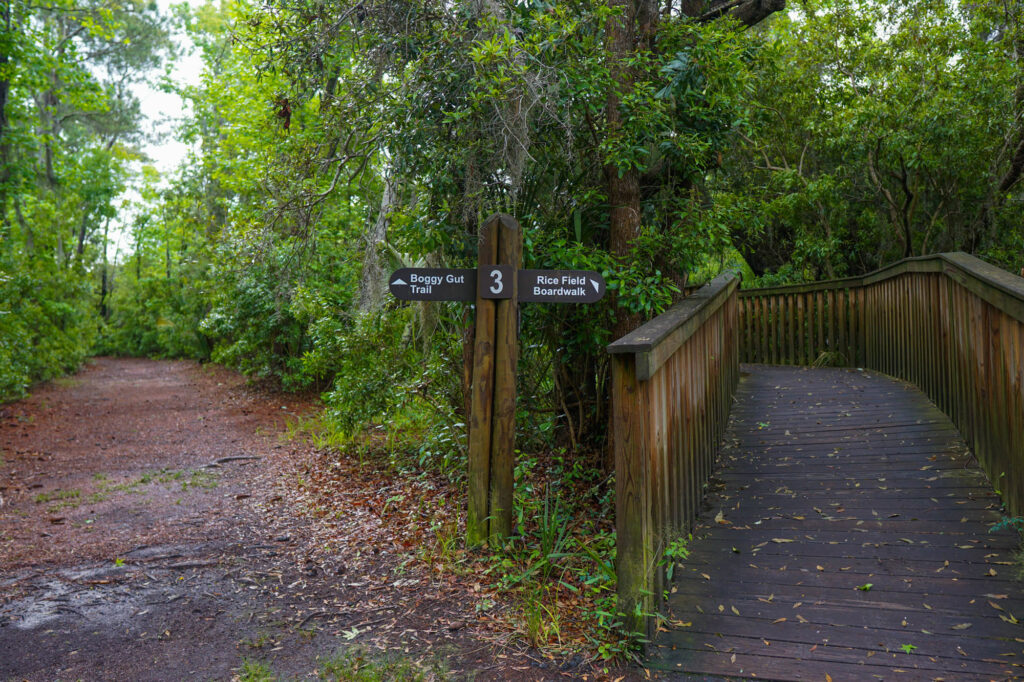 Sea Pines Forest Preserve is Worth the Admission Fee