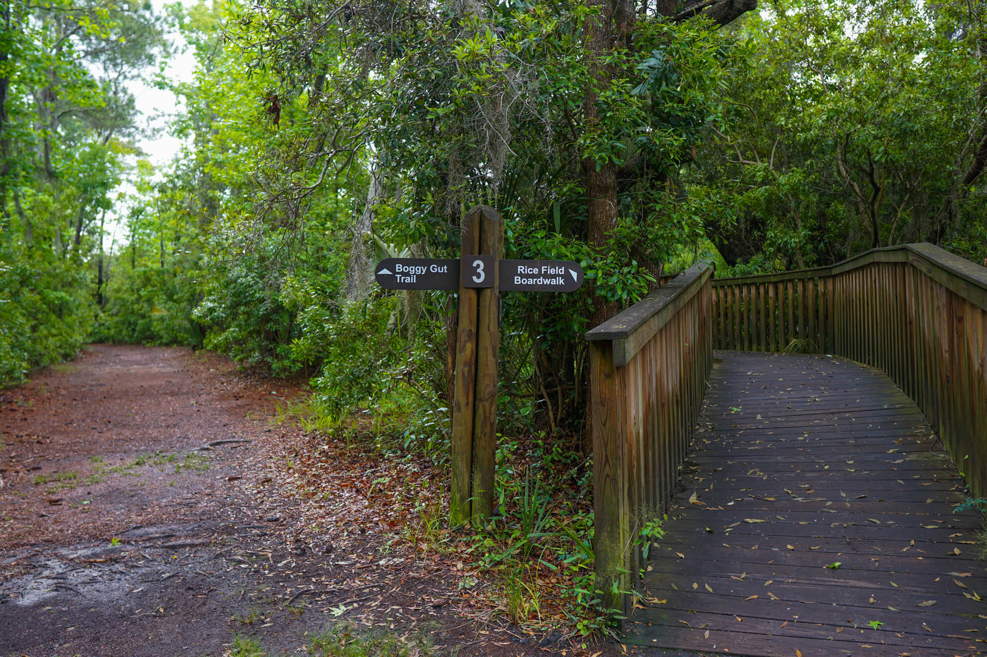 Various Trail Types at Sea Pines Preserve