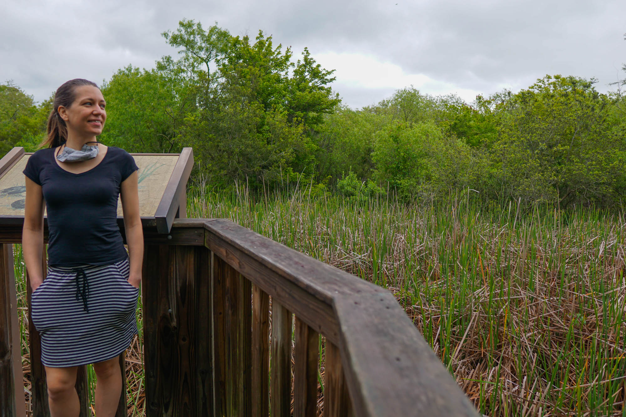 Bird Watching at Sea Pines