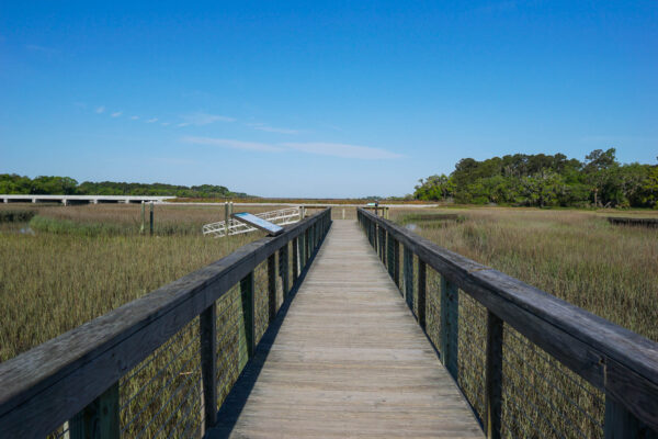 Walking Trail at the Coastal Discovery Museum