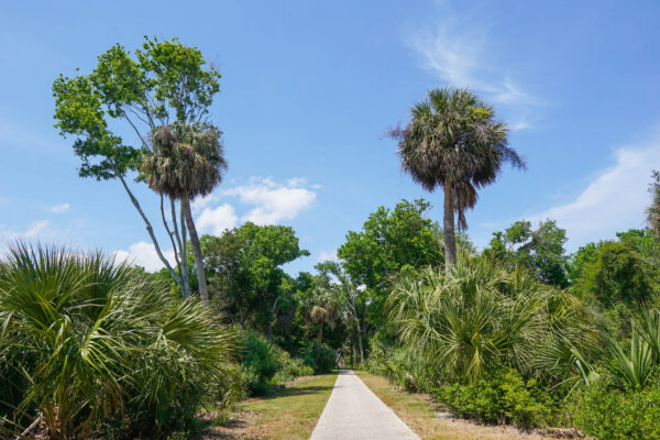 Walking Path at Fort Pulaski