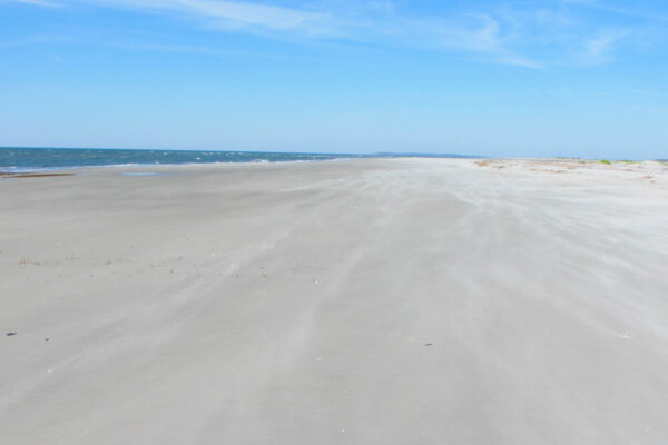 Gorgeous Beach on Little Tybee