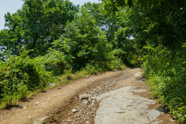 Hiking Up the Maryland Heights Trail