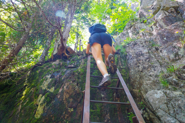 Climbing Up the Beech Cliff Loops Trail