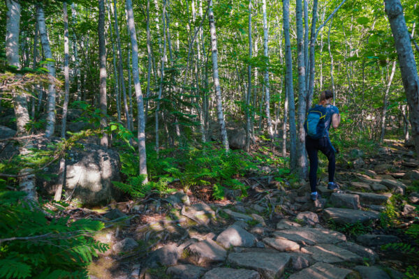 Typical Hiking at Acadia National Park