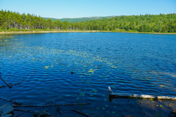 The Bowl Pond at Acadia National Park