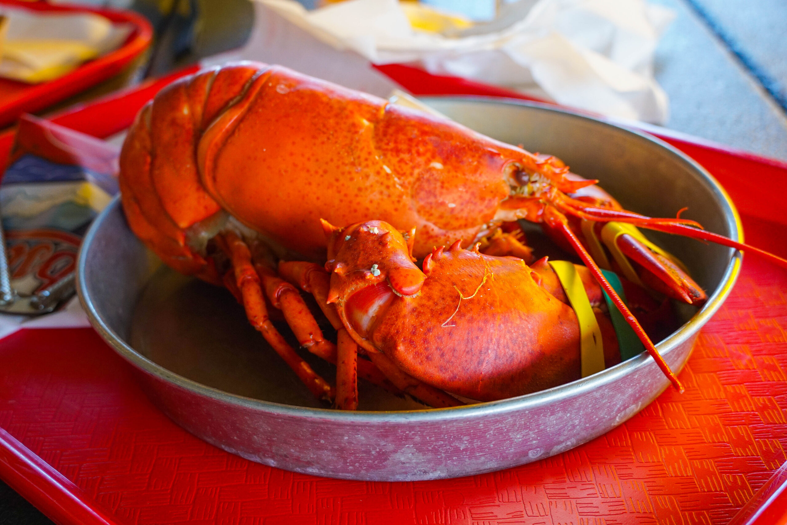 Whole Lobster from Thurston's Lobster Pound