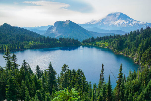 Mount Rainier and Summit Lake