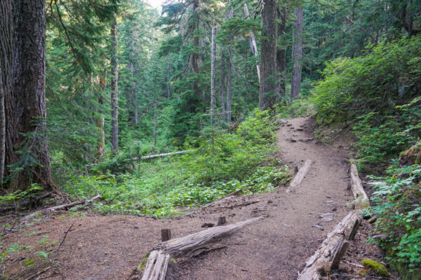 Easy Hiking Trail at the Summit Lake Hike