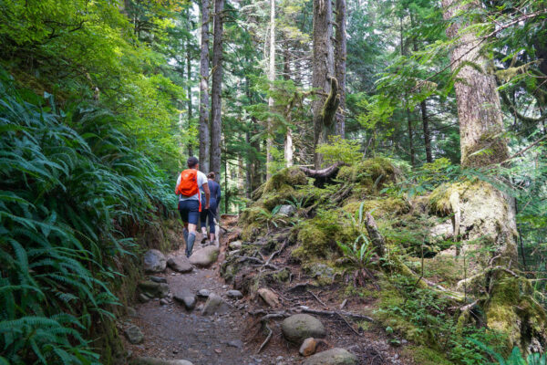 Trail at Lake 22 Near Seattle