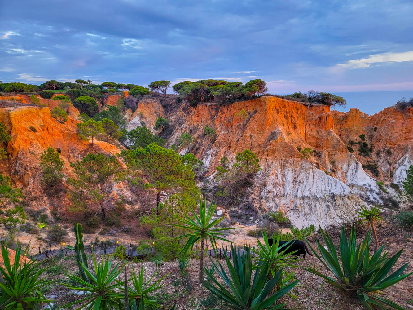 Algarve Cliffs at Sunset