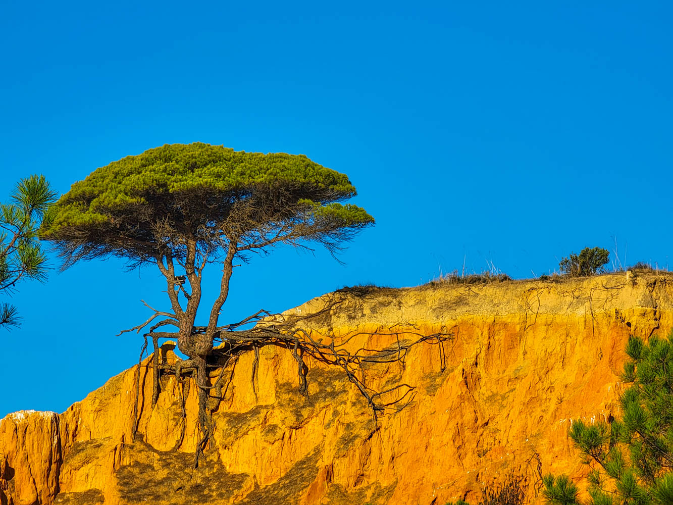 Algarve's dramatic landscape