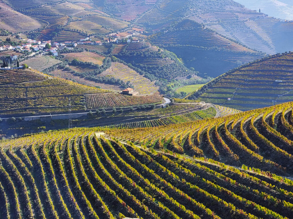 Douro Valley