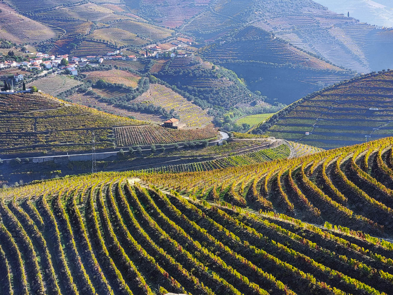 Driving in the Douro Valley is Terrifying