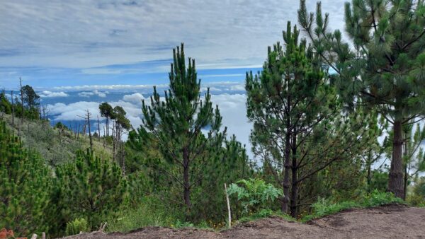 Acatenango Volcano Hike