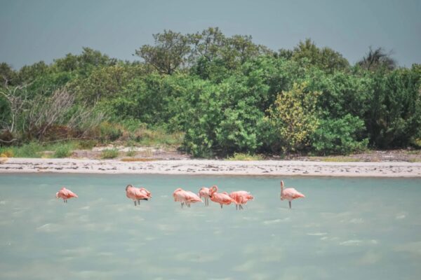 Holbox, Mexico