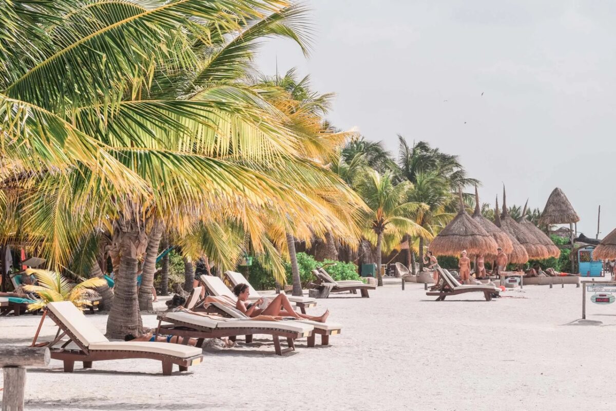 The Complete Guide to Snorkeling With Whale Sharks in Holbox