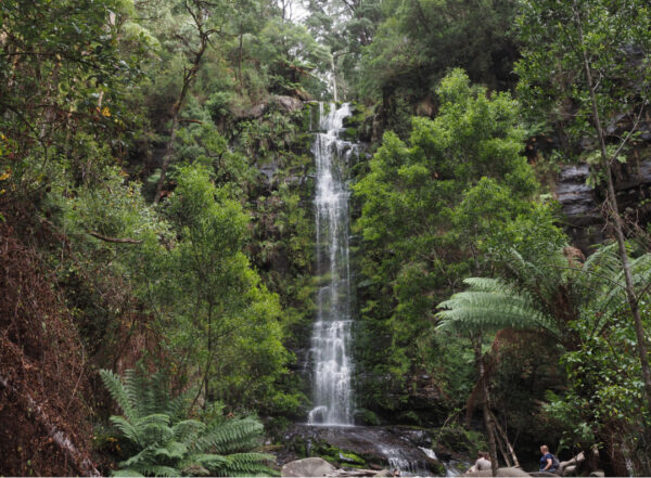 Great Otway National Park