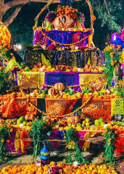 Dia de los Meurtos Ofrenda