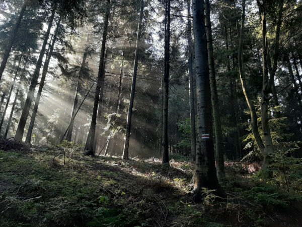 Day 3 on the Small Beskid Trail in Poland