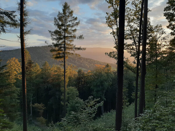 Day 5 on the Small Beskid Trail in Poland