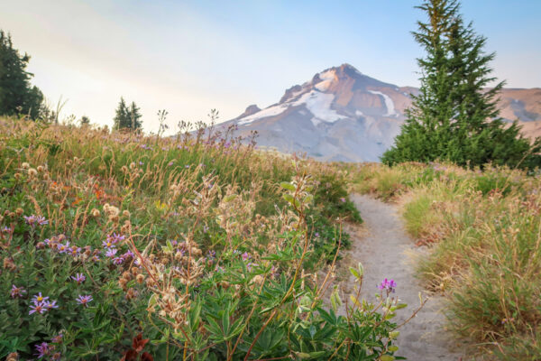 Scenery on the Pacific Crest Trail