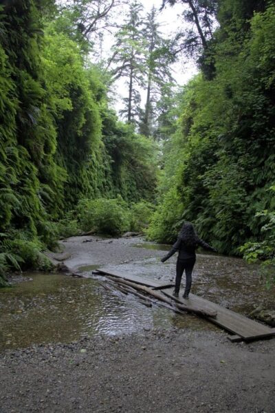 Fern Canyon