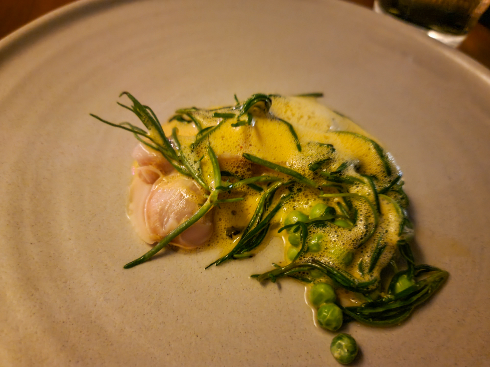 Rockfish at Pujol