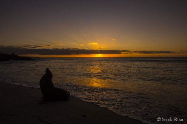 Sunset on Punta Carola