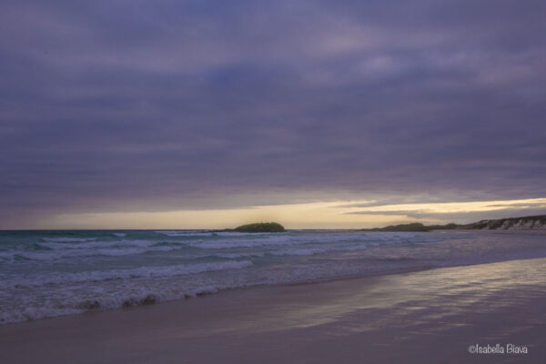 Tortuga Bay in the Galapagos