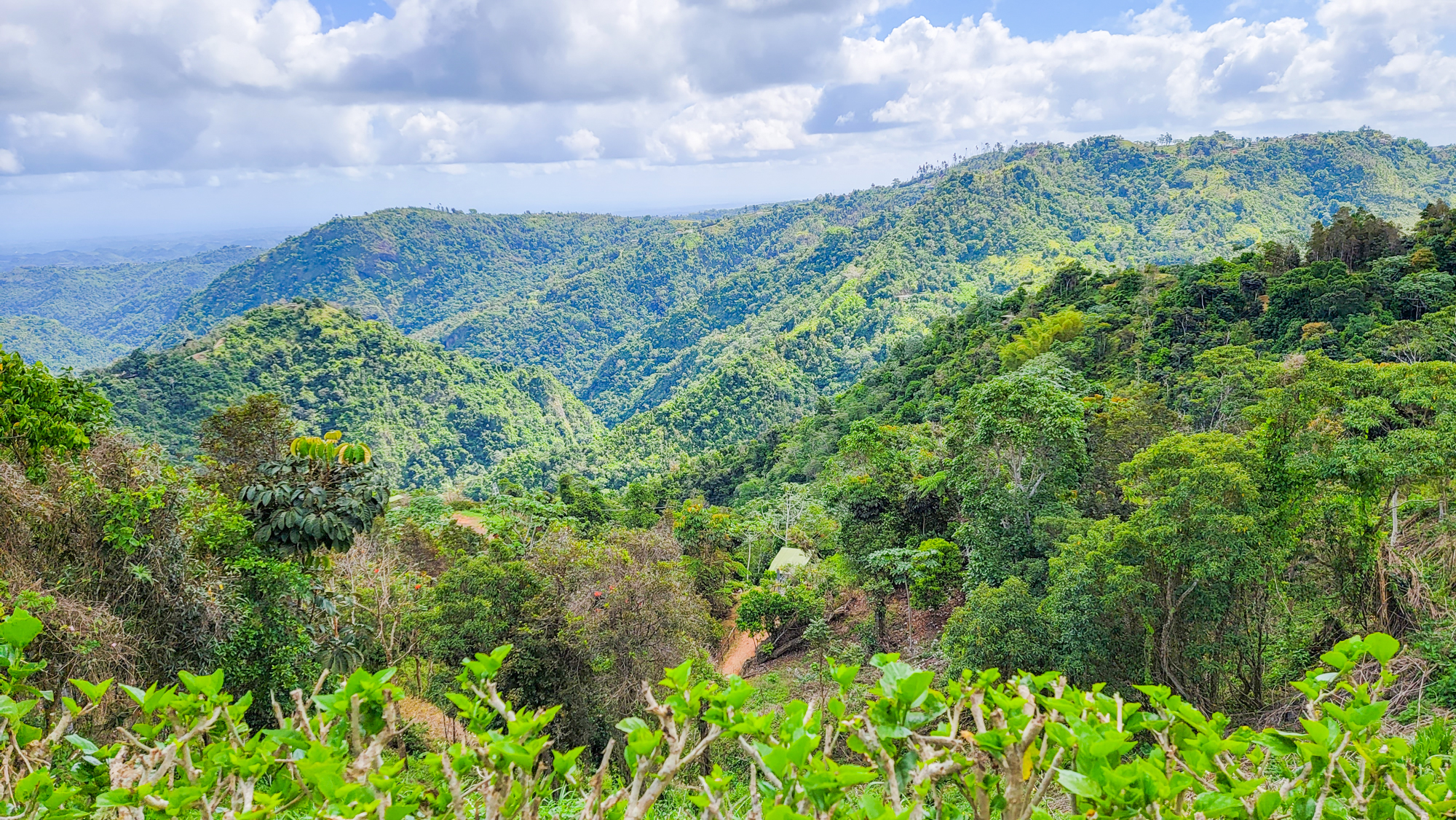 Toro Verde Zipline Park