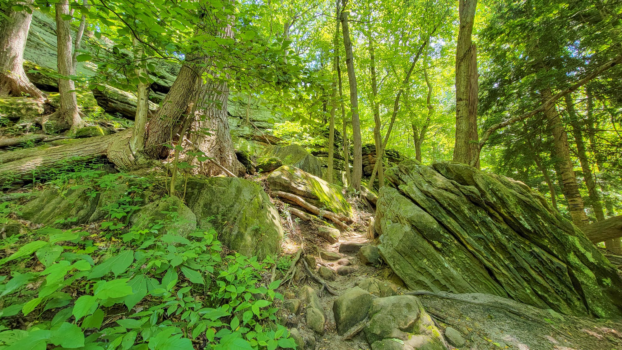 Cuyahoga Valley NP Ledges Trail