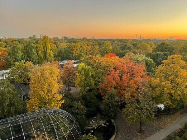 Views from the 25Hours Berlin Hotel