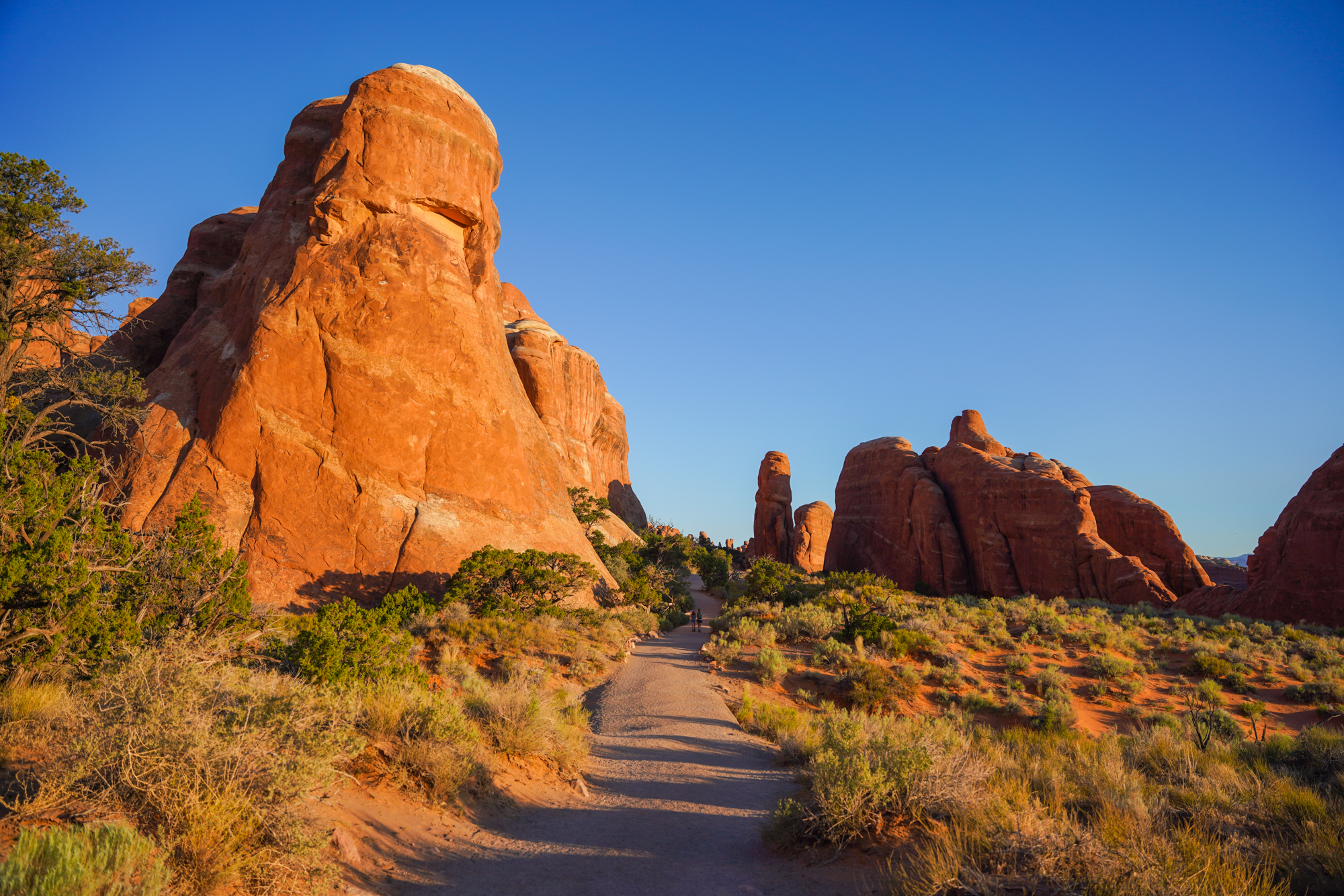 Double O Arch Trail