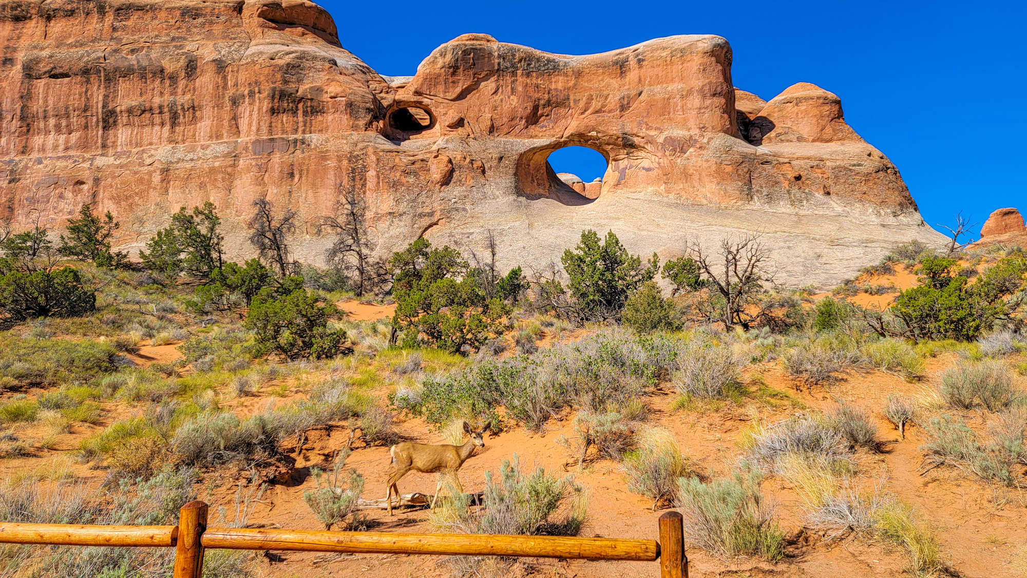 Tunnel Arch, Utah