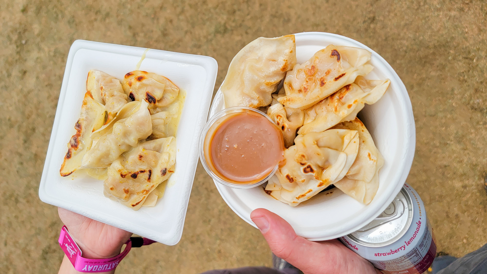 Sisters' Pantry Dumplings, Telluride