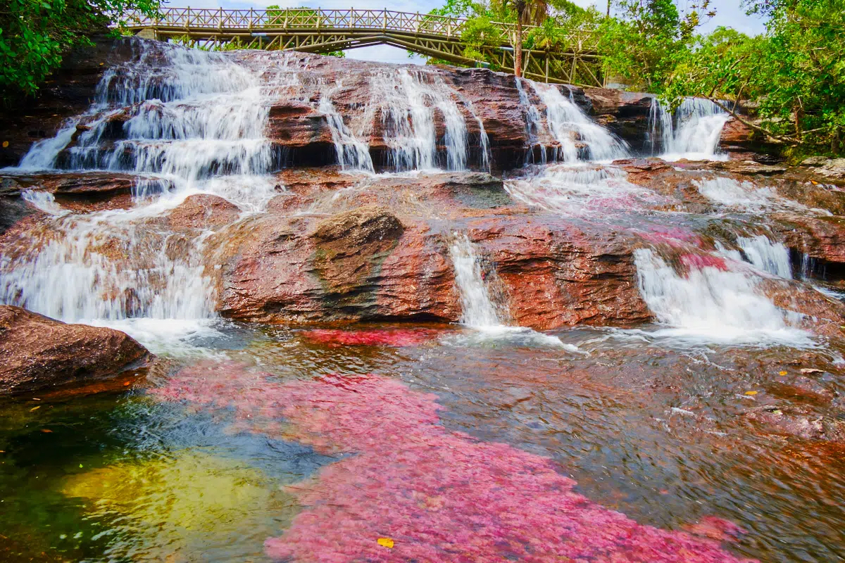 Cascada de la Virgen in Colombia