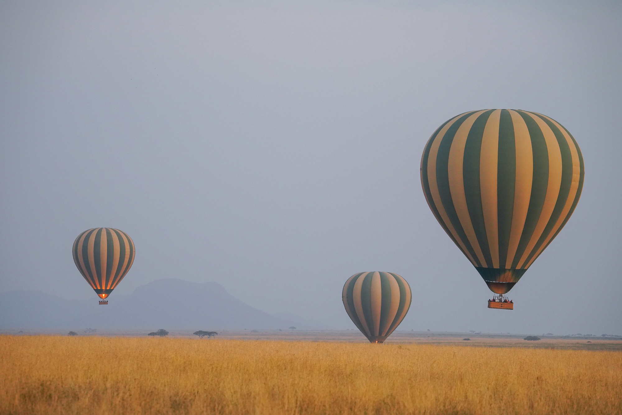 Hot Air Balloons Over the Serengeti