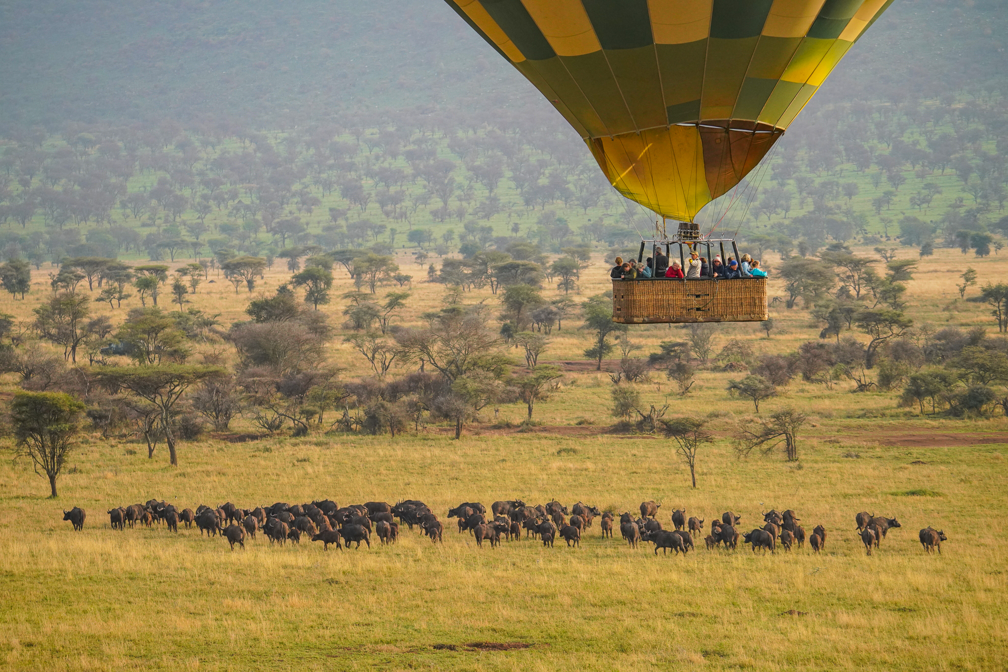 Hot Air Balloon Safari in the Serengeti
