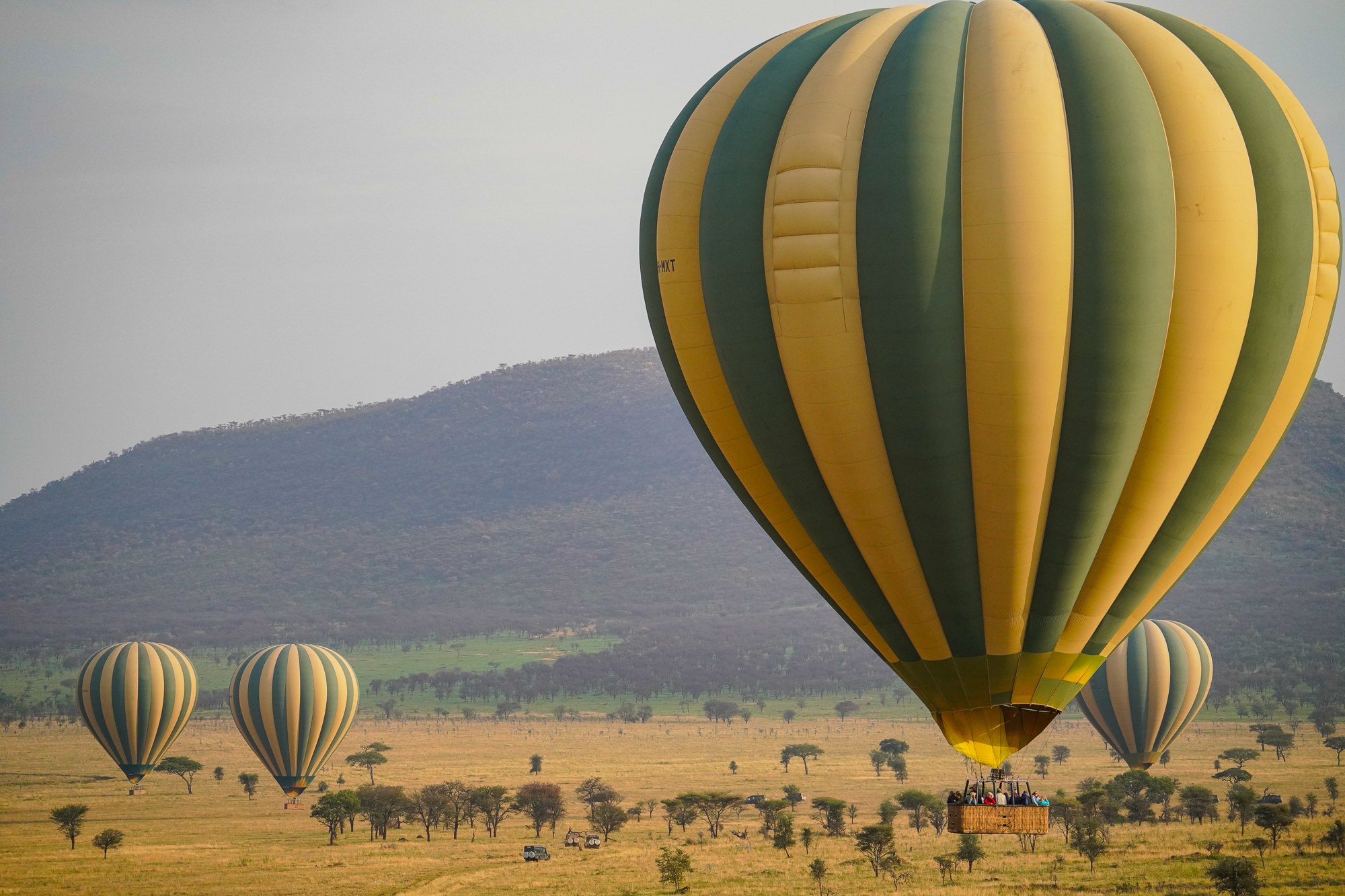 Hot Air Balloons in the Serengeti Safari