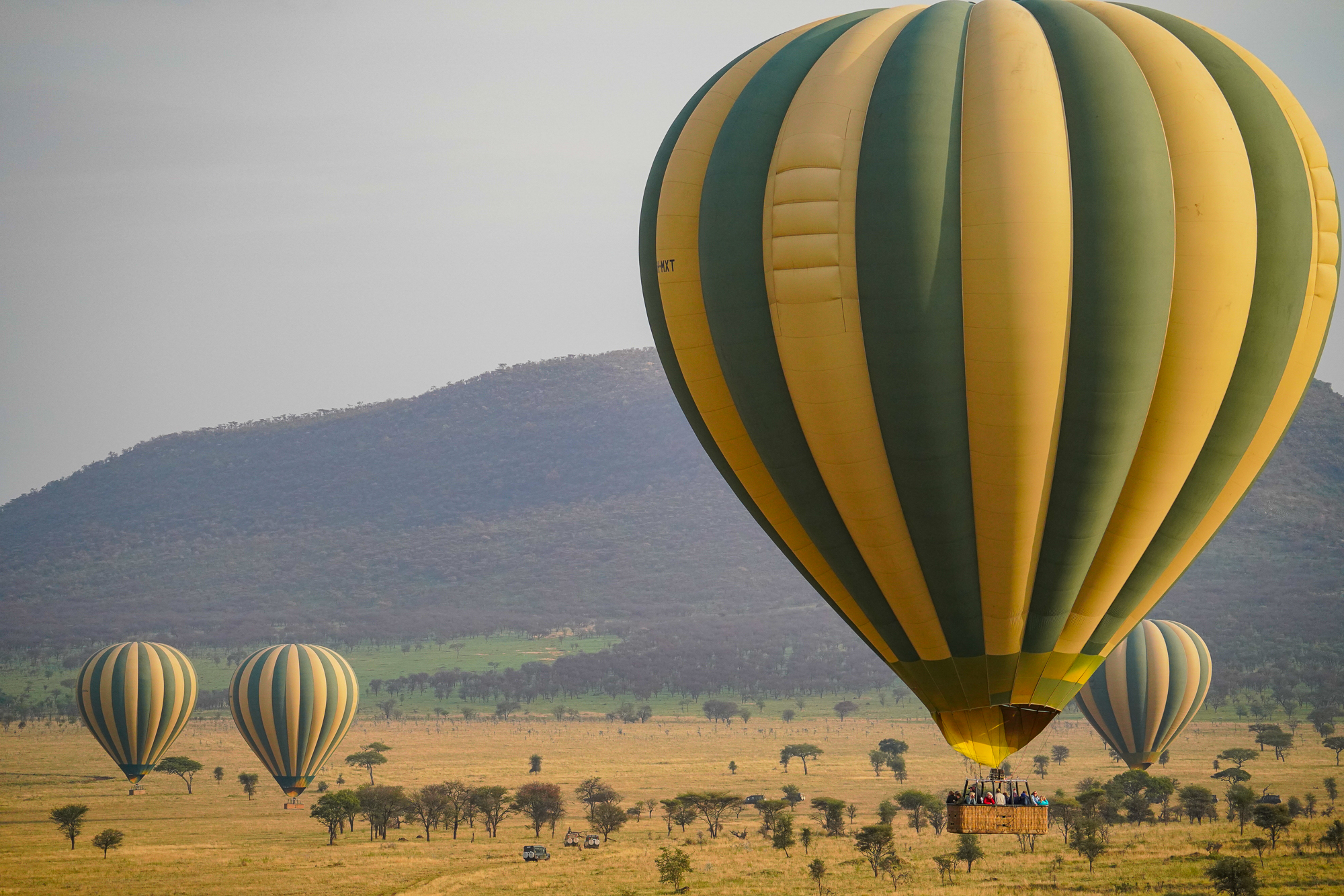 Hot Air Balloon Safari