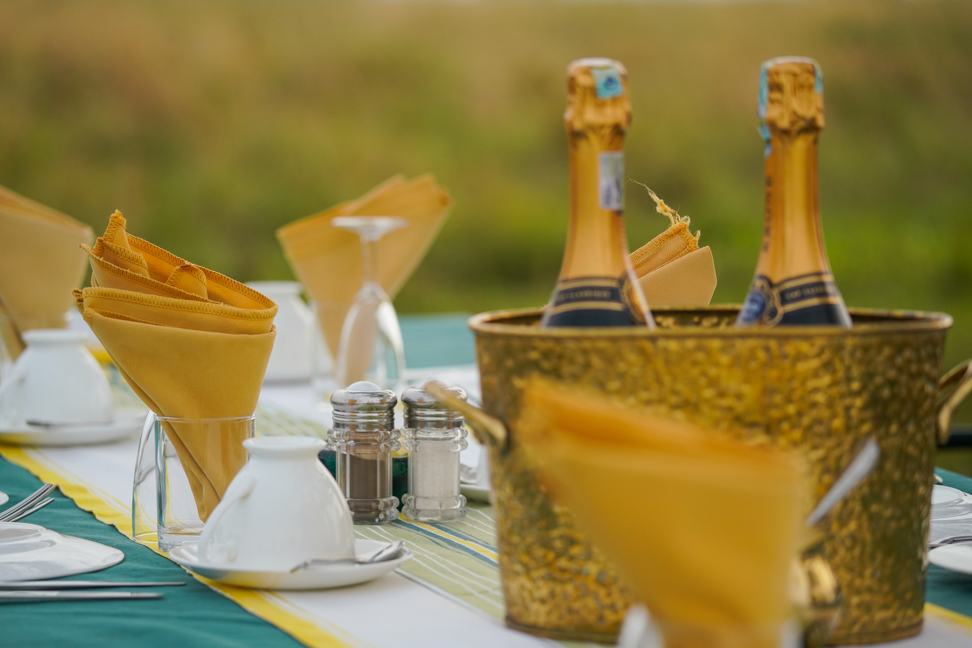 Bush Breakfast in Serengeti