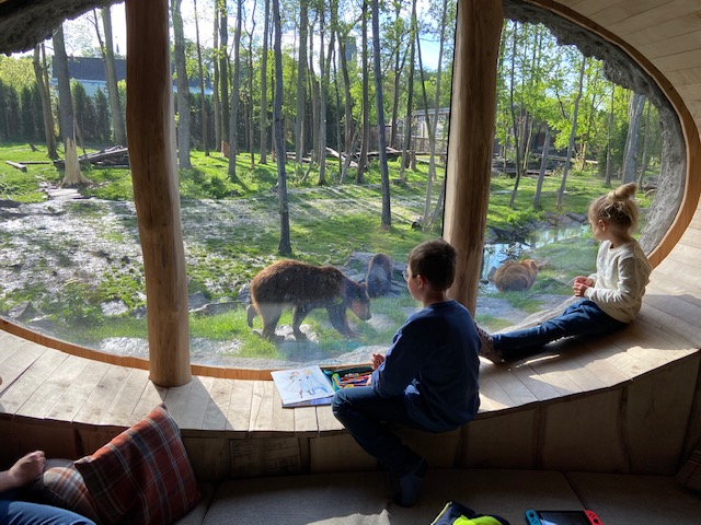 Pairi Daiza Belgium Travel Guide - Is Pairi Daiza worth it?