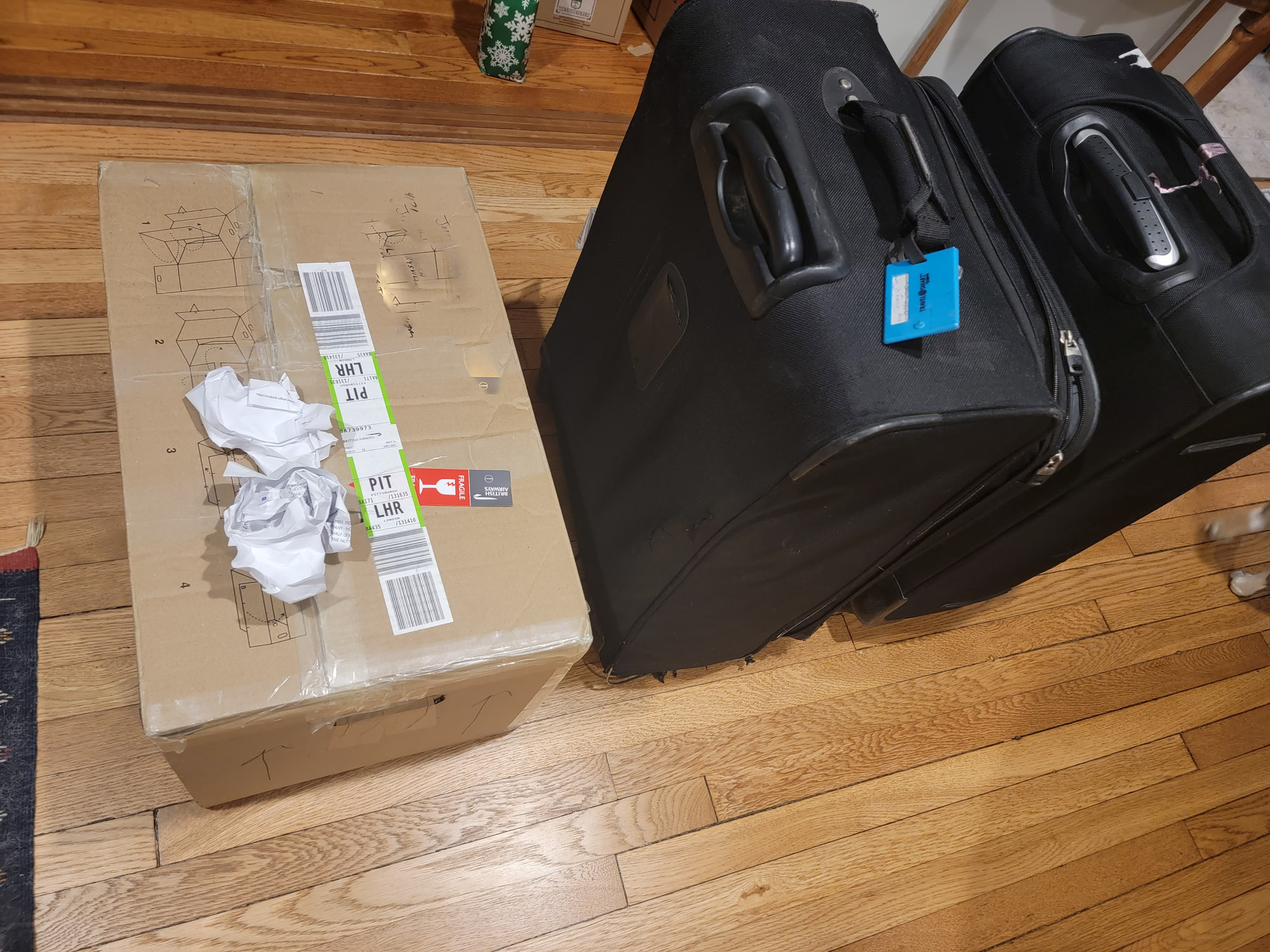 Lost Bags Delivered 48 Hours Later