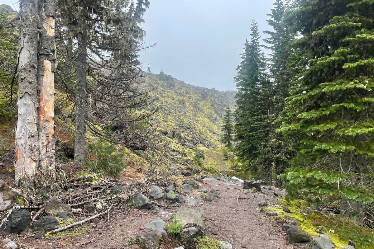 Climbing Mt St Helens