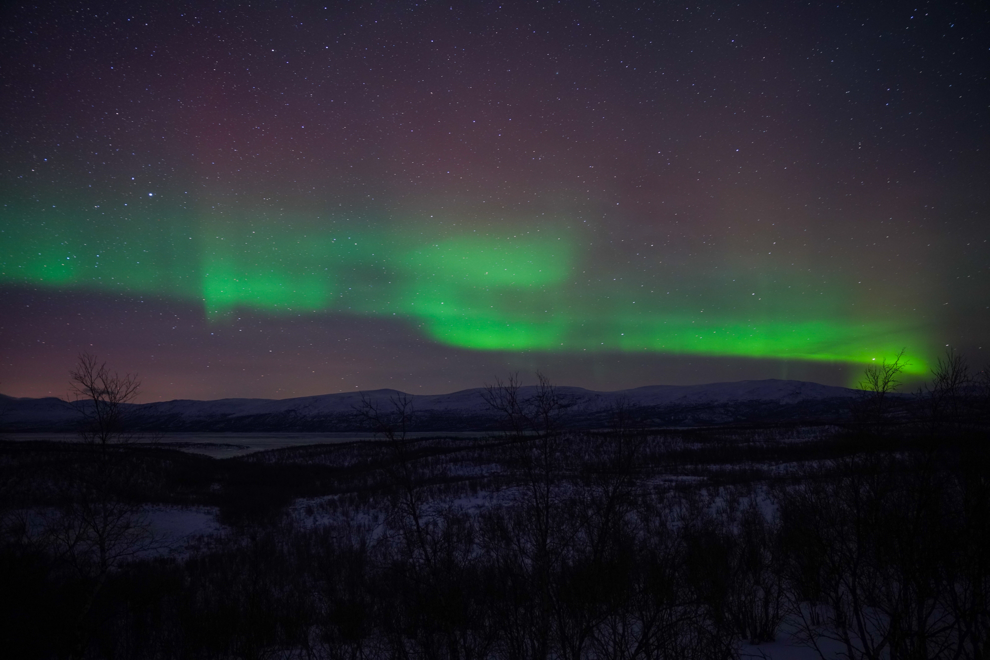 Aurora Near Abisko, Sweden