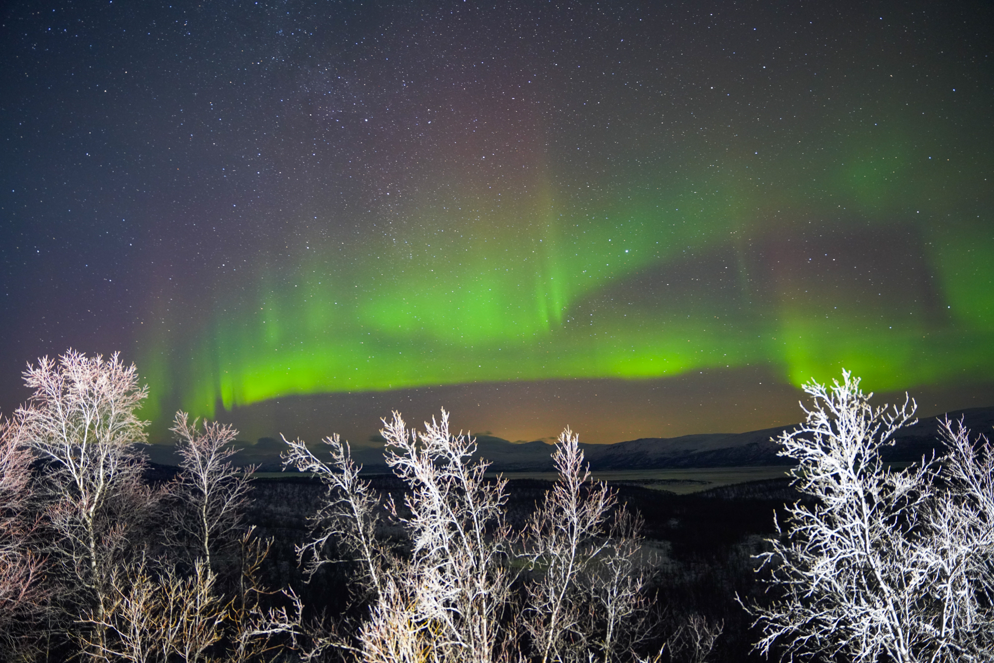 Aurora Borealis in Sweden